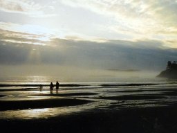 vancouver Island Tofino Beach